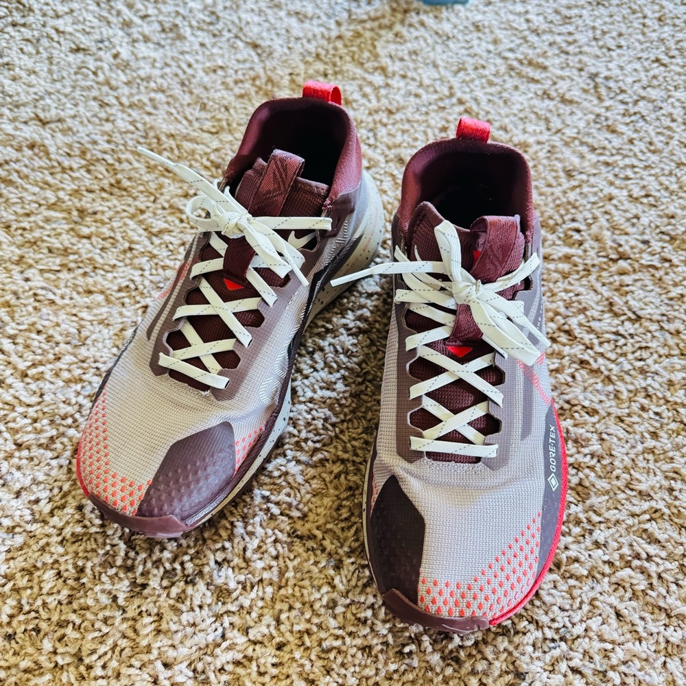 Nike Pegasus Trail 4 GORE-TEX